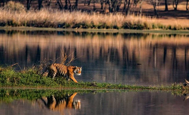 Kanha National Park